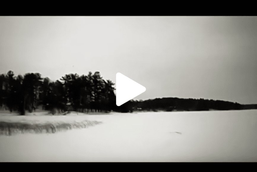 VIDEO: Officer enlists a Michigan man’s dog to help rescue him from an icy lake